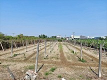 常德商圈旁方正都內農地