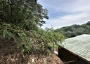 五股區-土地，300.1坪