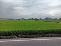 🍎壯圍新福一路足坪農地🚅高..