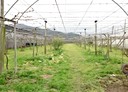 新社區-華豐街土地，1024.2坪
