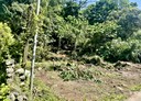 三芝區-土地，453.2坪