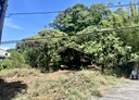 三芝區-土地，870坪