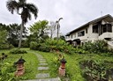 壽豐鄉-豐和街廠房，125.7坪