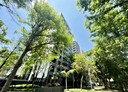南港區-向陽路3房2廳，36.6坪