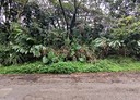 龜山區-土地，430.2坪