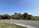 安南區-土地，733.3坪