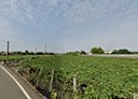 埔心鄉-土地，518.9坪
