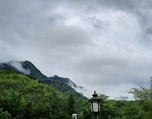 近溪頭全新一樓套房含獨立客餐廳廚房安靜 - Image 8