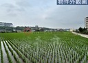 頭份市-土地，916坪