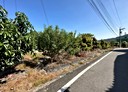 竹山鎮-土地，72.9坪