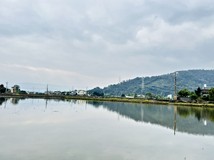 宜蘭員山鄉鼻仔頭大面寬足坪..