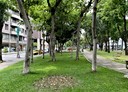 北區-興進路3房2廳，24.8坪