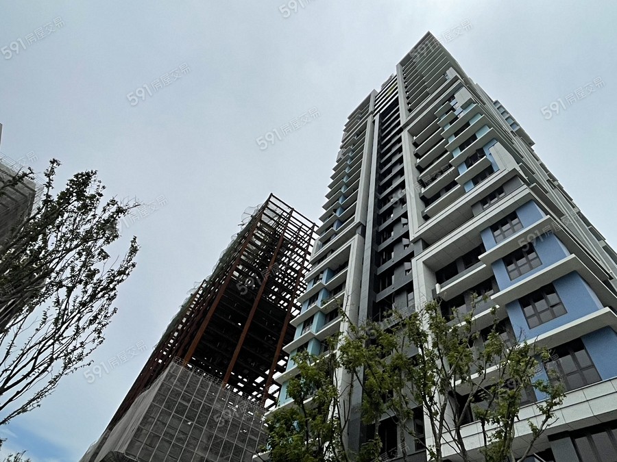 新濠一川實景圖