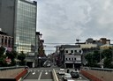 楊梅區-楊梅段土地，226坪