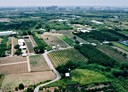 歸仁區-土地，808.1坪