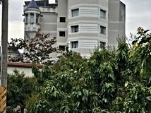 旗山嶺口交流道肥沃芭樂園農..