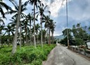卑南鄉-利吉村土地，1069.5坪