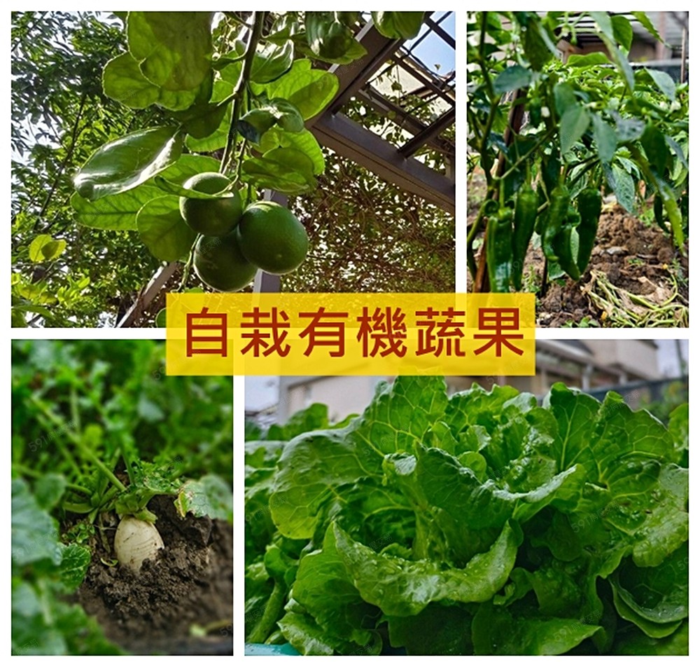 房屋圖片