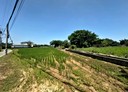 觀音區-新坡段土地，594坪