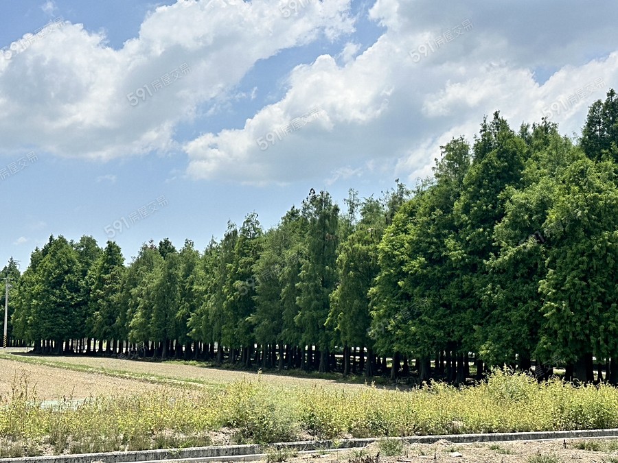 田園調布-大樓環境圖