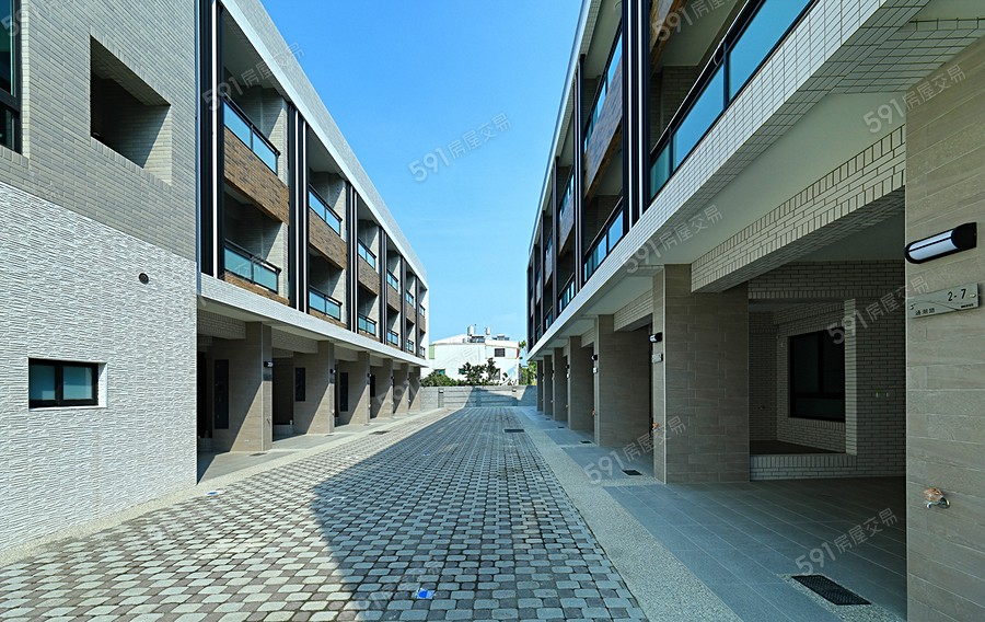 鼎極泗林實景圖