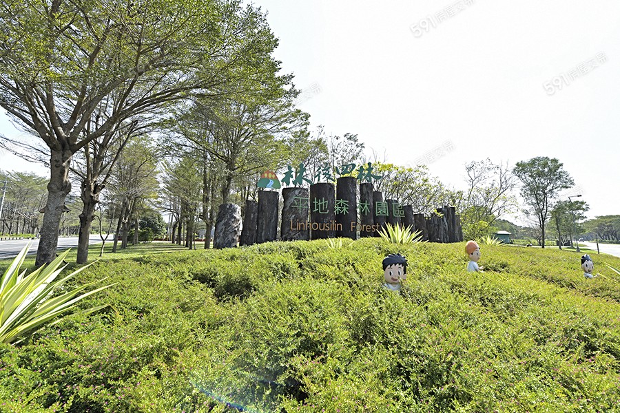 鼎極泗林環境圖