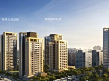 福科路377巷西屯中科.寶輝..