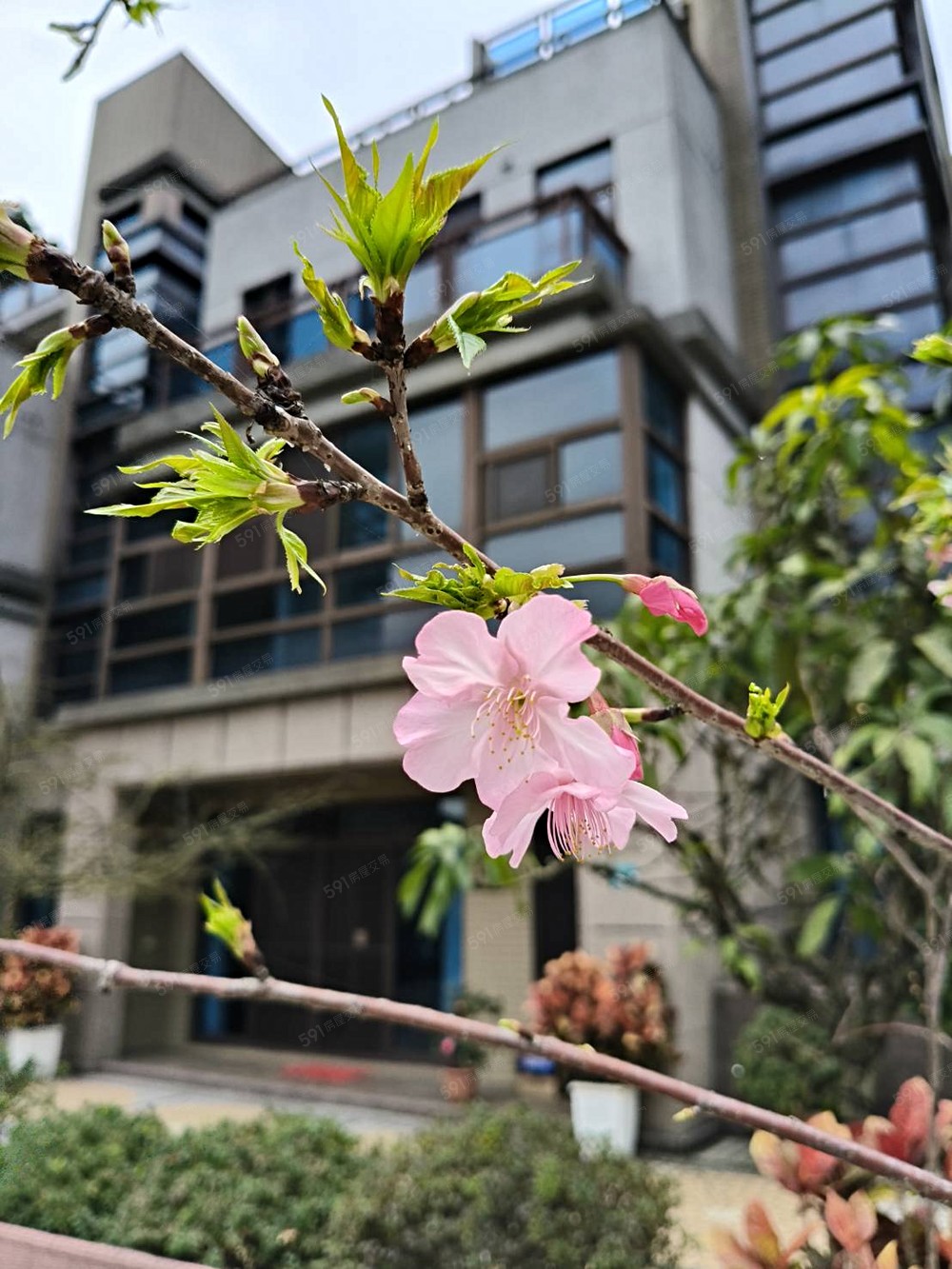 房屋圖片