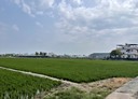 太保市-土地，1141.6坪