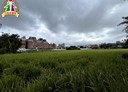 桃園區-寳慶路土地，1233.3坪