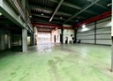 大里區-國中一路廠房，238坪