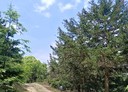 南庄鄉-土地，2057坪