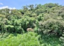 內湖區-金龍路5房2廳，30.9坪