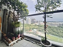 公園街大漁森自在💎稀有大四..