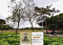 松山區-富錦街4房2廳，46.8坪