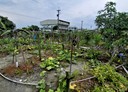 宜蘭市-振興段土地，315坪