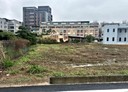 中壢區-土地，320坪
