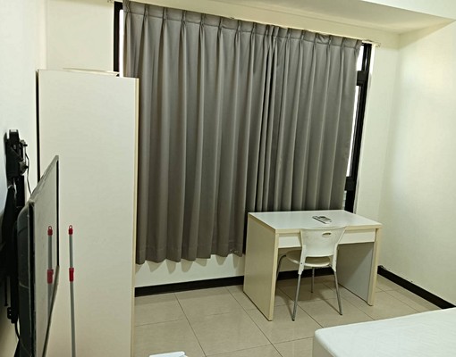 善化LM誠銳近南科 - Image 4