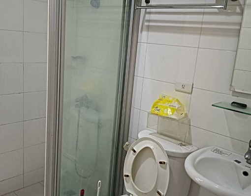 善化LM誠銳近南科 - Image 6