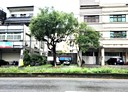 石岡區-明德路土地，50.4坪