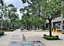 樹林區-學勤路店面，95.2坪