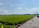 大林鎮-土地，1609.9坪