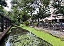 松山區-新東街5房2廳，29.6坪