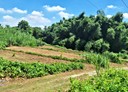 新化區-土地，378坪