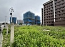蘆竹區-土地，33.7坪