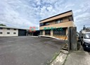 林口區-工九路廠房，176.1坪