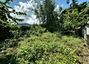 瑞穗鄉-土地，80.3坪