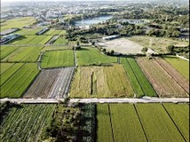 ✪東森小東店✪新化農地