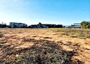 觀音區-土地，3650.5坪