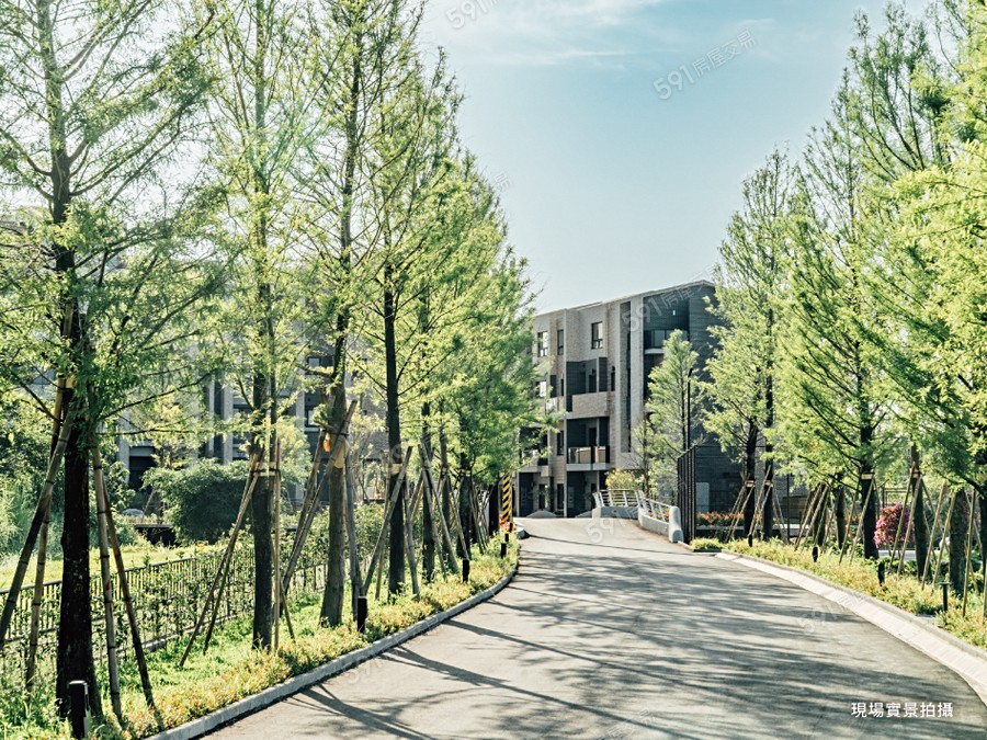 水野路路(華廈區)實景圖